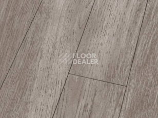 Ламинат Falquon Blue Line Wood 8mm D4187 WHITE OAK фото 1 | FLOORDEALER